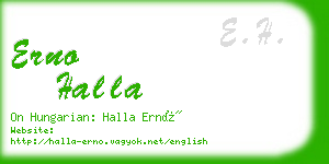 erno halla business card